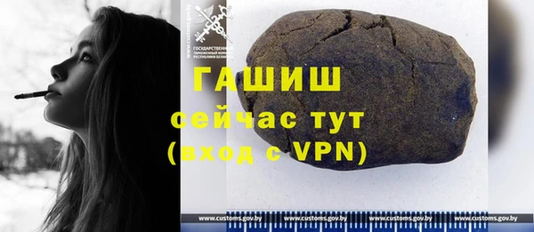 spice Богородицк