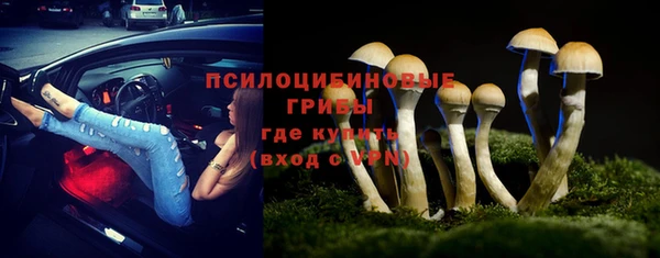 спиды Богородск