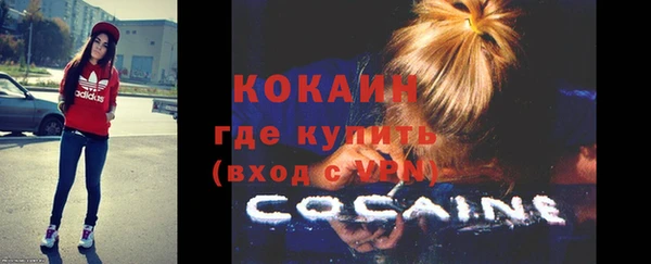 spice Богородицк