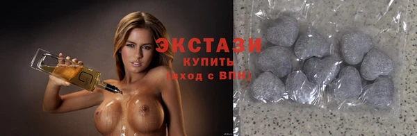spice Богородицк