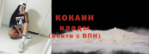 spice Богородицк