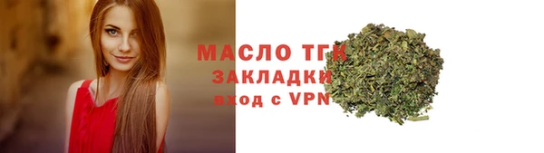 spice Богородицк