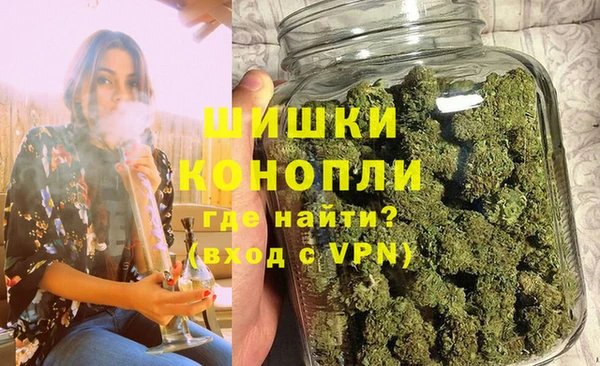 spice Богородицк