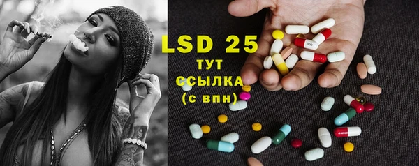 spice Богородицк