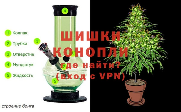 spice Богородицк
