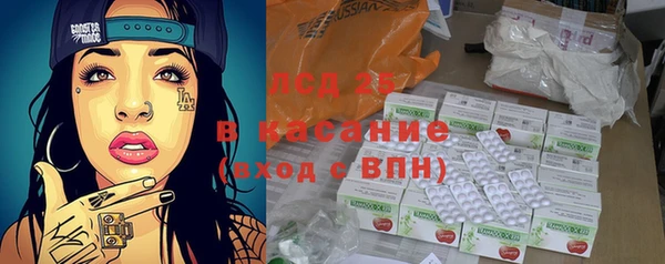spice Богородицк
