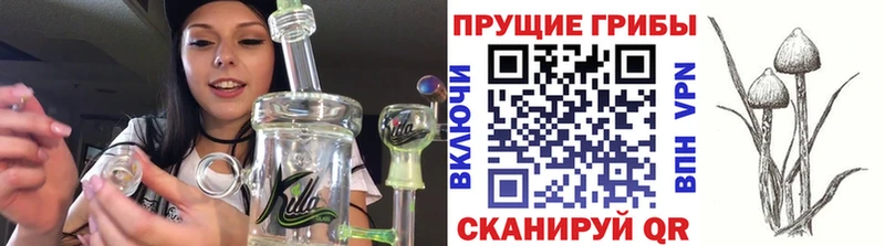 Псилоцибиновые грибы Magic Shrooms  MEGA как зайти  Коммунар 